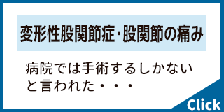 美姿勢体幹トレーニング